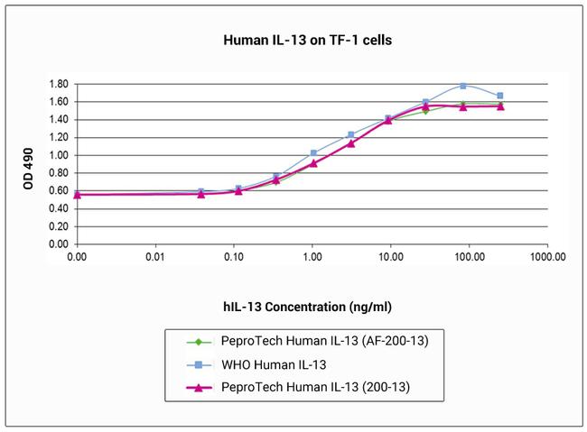 Human IL-13, Animal-Free Protein in Bioactivity (Bioactivity)