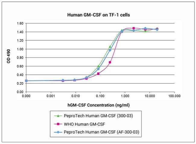 Human GM-CSF, Animal-Free Protein in Bioactivity (Bioactivity)