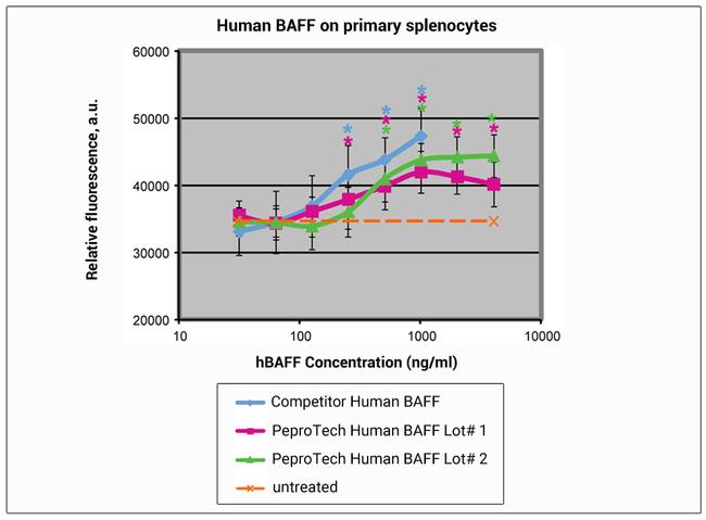 Human BAFF (BLyS), Animal-Free Protein in Bioactivity (Bioactivity)