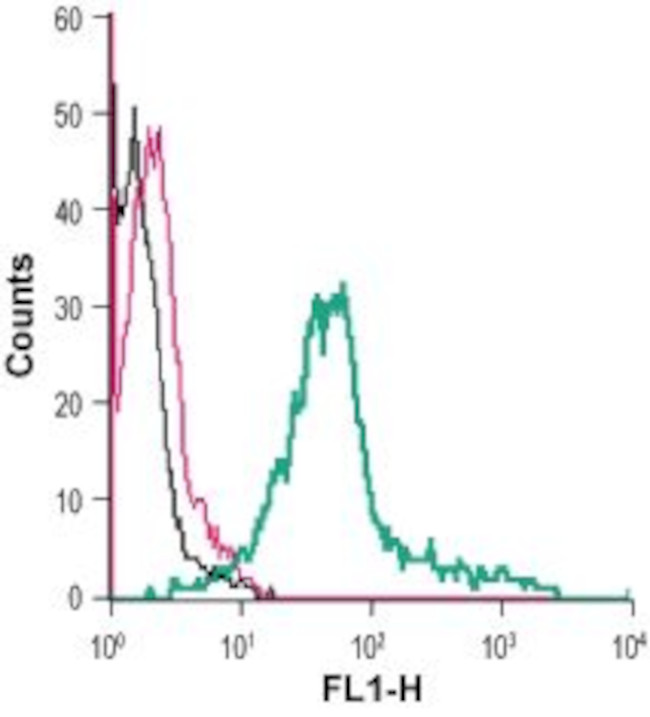 GLP1R (extracellular) Antibody in Flow Cytometry (Flow)