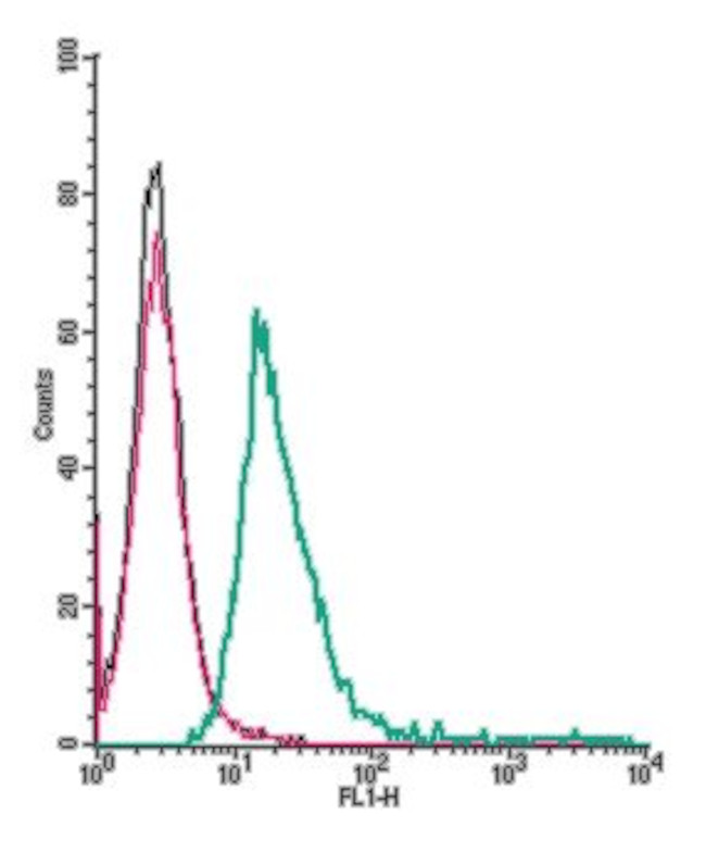 GPR132/G2A (extracellular) Antibody in Flow Cytometry (Flow)