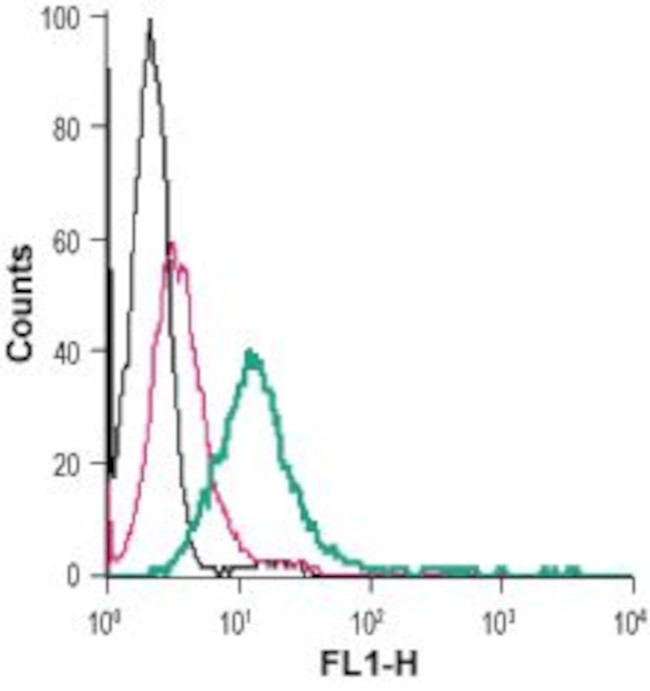 GPR56 (extracellular) Antibody in Flow Cytometry (Flow)