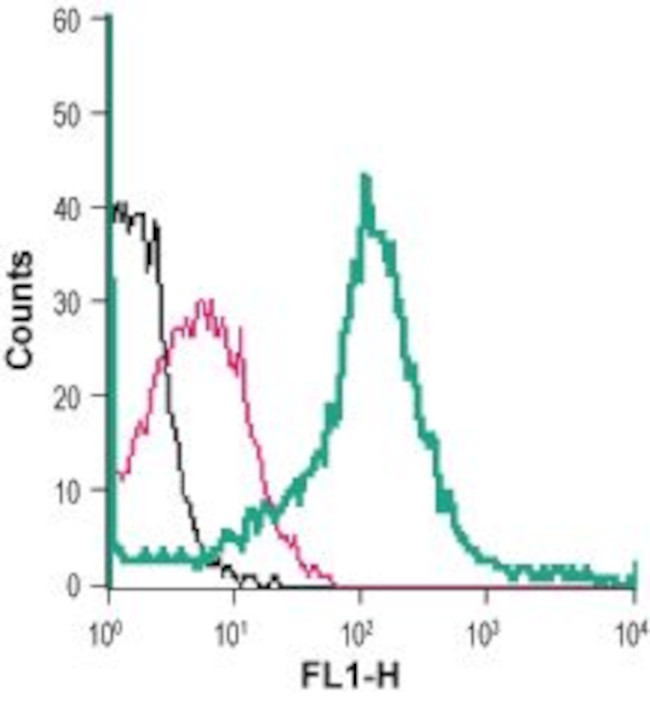 GLUT3 (extracellular) Antibody in Flow Cytometry (Flow)