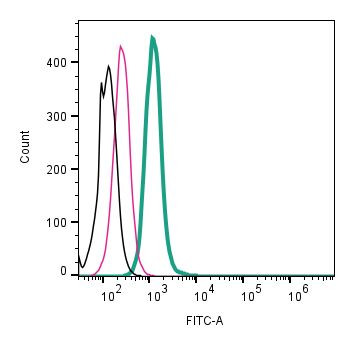 KISS1 Receptor (GPR54) (extracellular) Antibody in Flow Cytometry (Flow)