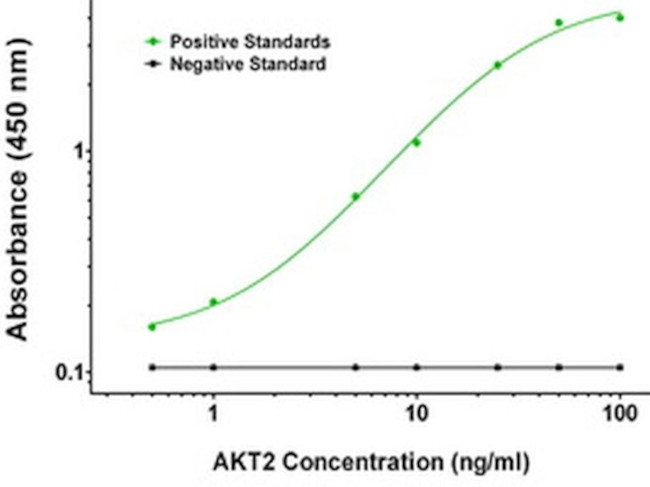 AKT2 Antibody in ELISA (ELISA)