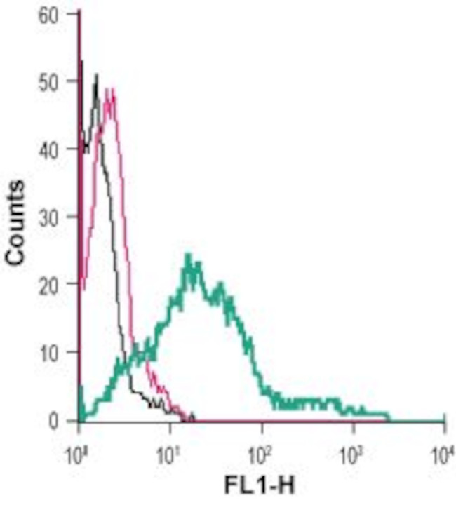 Serotonin Transporter (SERT) (extracellular) Antibody in Flow Cytometry (Flow)
