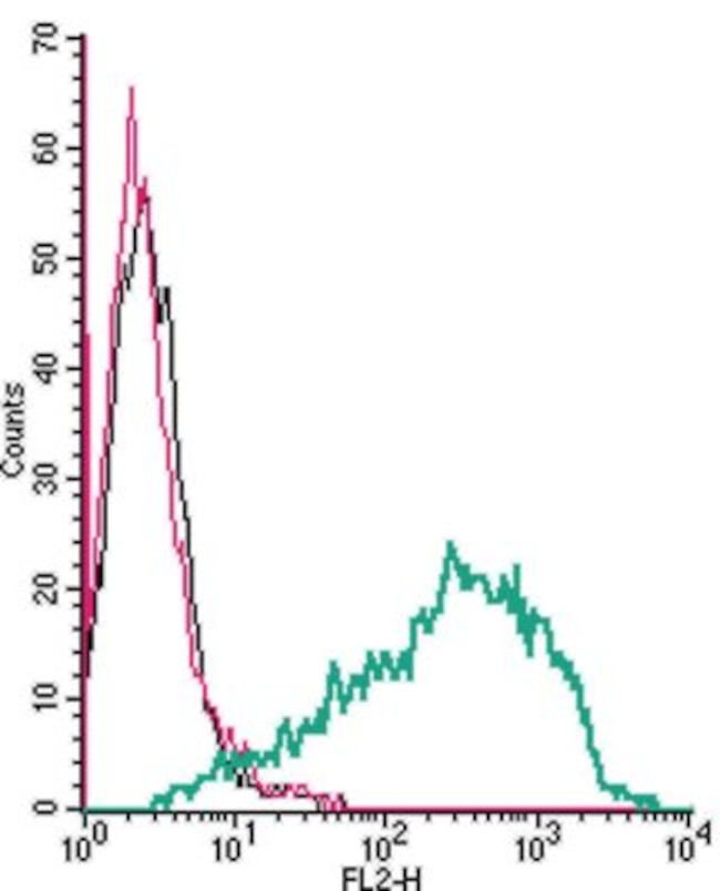 Serotonin Transporter (SERT) (extracellular) Antibody in Flow Cytometry (Flow)