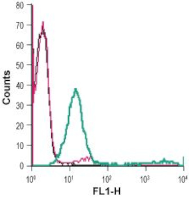 MCT1 (SLC16A1) (extracellular) Antibody in Flow Cytometry (Flow)