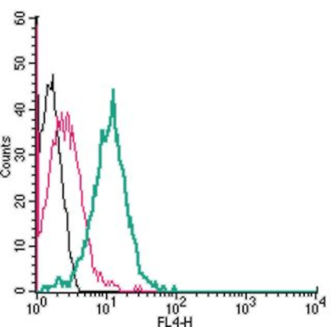 Nicotinic Acetylcholine Receptor alpha 7 (CHRNA7) (extracellular) Antibody in Flow Cytometry (Flow)