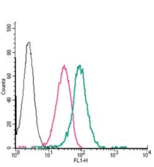 Neuropilin-1 (NRP1) (extracellular) Antibody in Flow Cytometry (Flow)