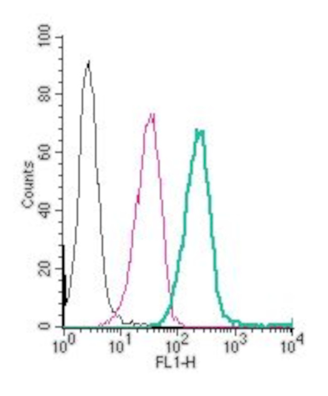 Neogenin (extracellular) Antibody in Flow Cytometry (Flow)