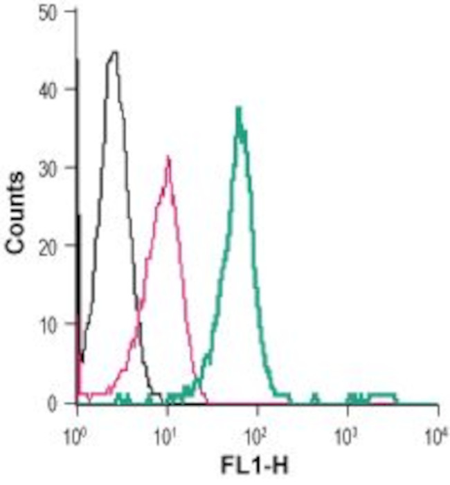 TrkB (extracellular) Antibody in Flow Cytometry (Flow)