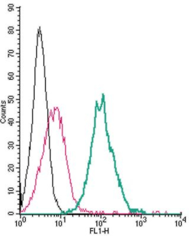 SLC11A1/NRAMP1 (extracellular) Antibody in Flow Cytometry (Flow)