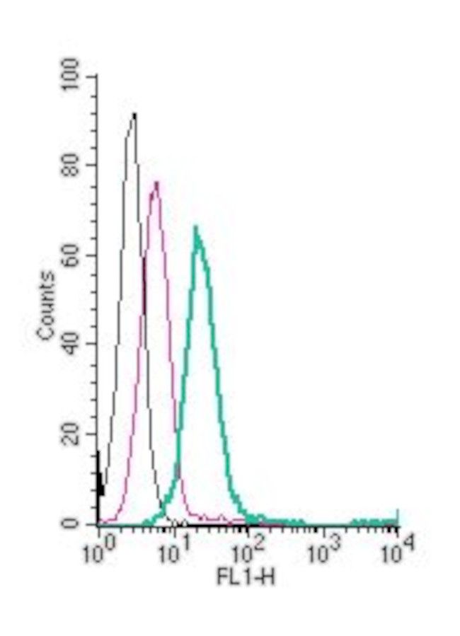KV1.5 (KCNA5) (extracellular) Antibody in Flow Cytometry (Flow)
