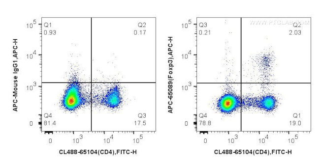 Foxp3 Antibody in Flow Cytometry (Flow)