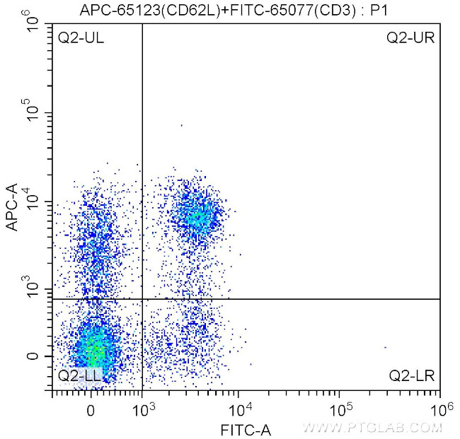 CD62L (L-Selectin) Antibody in Flow Cytometry (Flow)