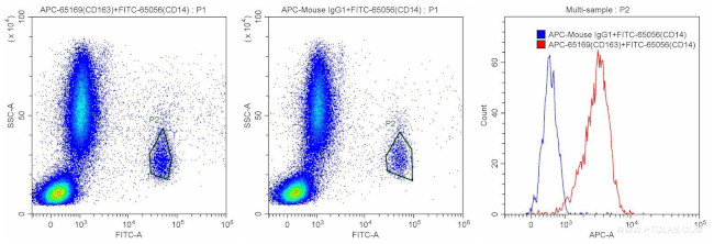 CD163 Antibody in Flow Cytometry (Flow)