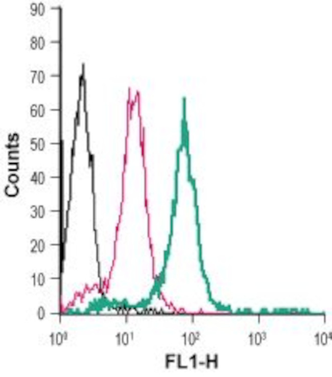 Prostaglandin E Receptor EP2/PTGER2 (extracellular) Antibody in Flow Cytometry (Flow)