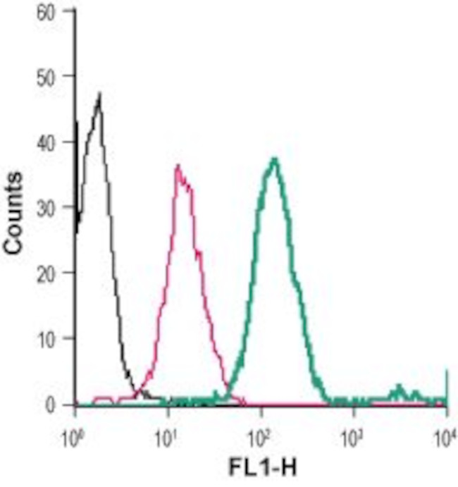 Plexin-A1 (extracellular) Antibody in Flow Cytometry (Flow)