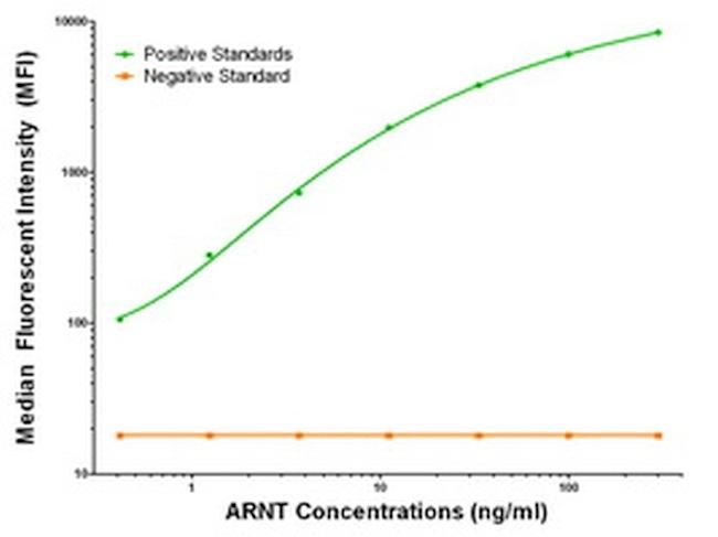 ARNT Antibody in Luminex (Luminex)