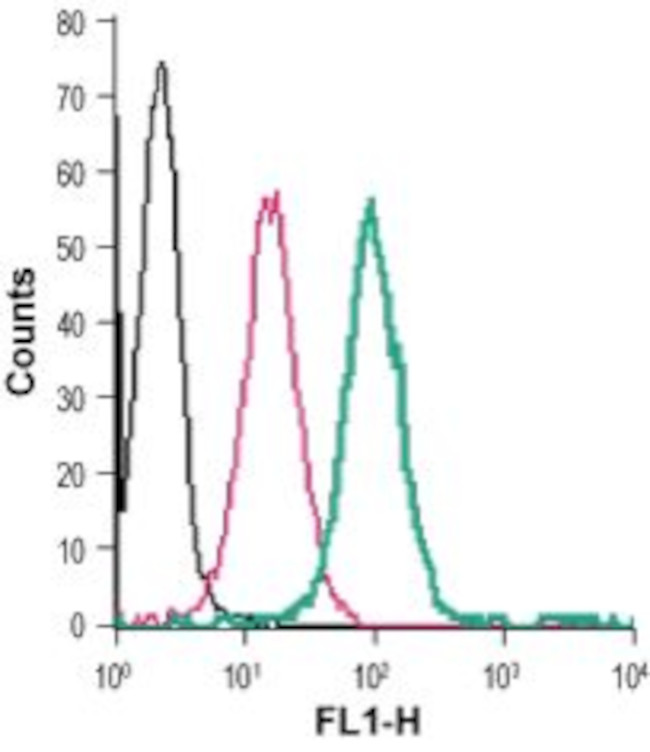 GPR91 (SUCNR1) (extracellular) Antibody in Flow Cytometry (Flow)