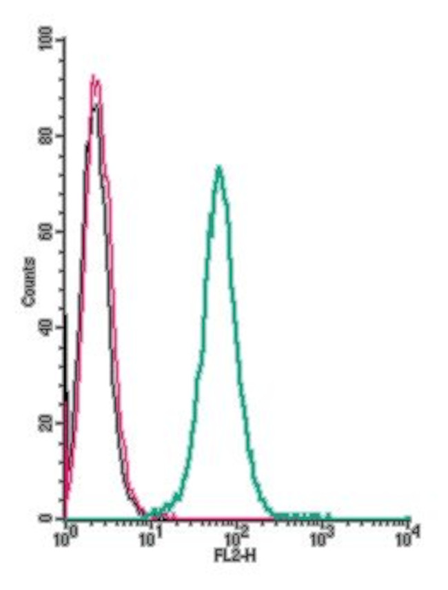 GPR91 (SUCNR1) (extracellular) Antibody in Flow Cytometry (Flow)
