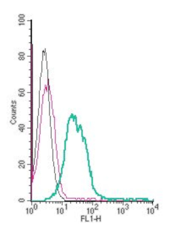 ZIP6/SLC39A6 (extracellular) Antibody in Flow Cytometry (Flow)