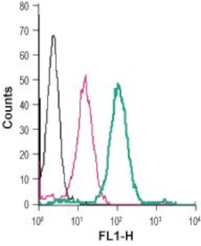 ZIP8 (SLC39A8) (extracellular) Antibody in Flow Cytometry (Flow)