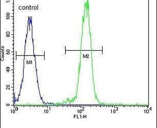 B-Raf Antibody in Flow Cytometry (Flow)