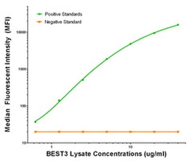 BEST3 Antibody in Luminex (Luminex)