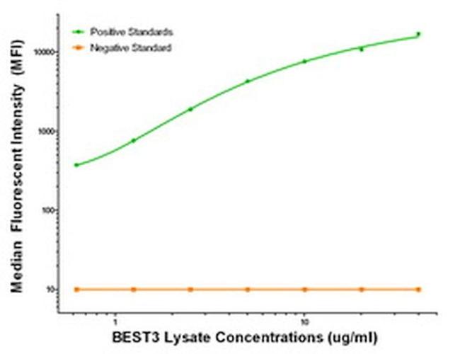 BEST3 Antibody in Luminex (Luminex)