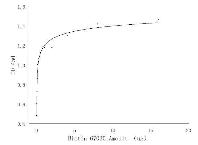 CRK Antibody in ELISA (ELISA)
