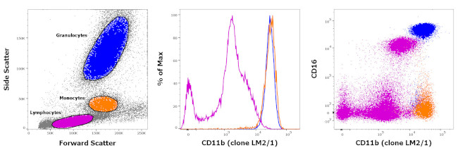 CD11b Antibody in Flow Cytometry (Flow)