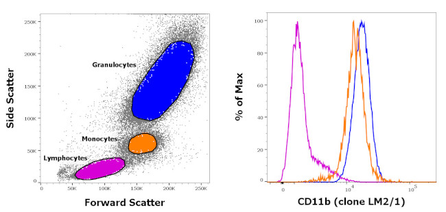 CD11b Antibody in Flow Cytometry (Flow)