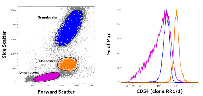 CD54 (ICAM-1) Antibody in Flow Cytometry (Flow)