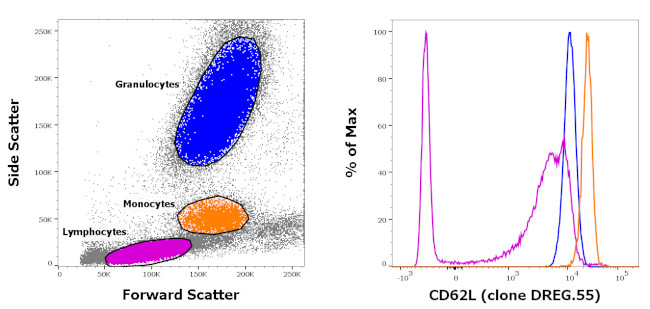 CD31 (PECAM-1) Antibody in Flow Cytometry (Flow)