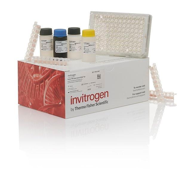 Human IL-5 Instant ELISA™ Kit (BMS278INST)