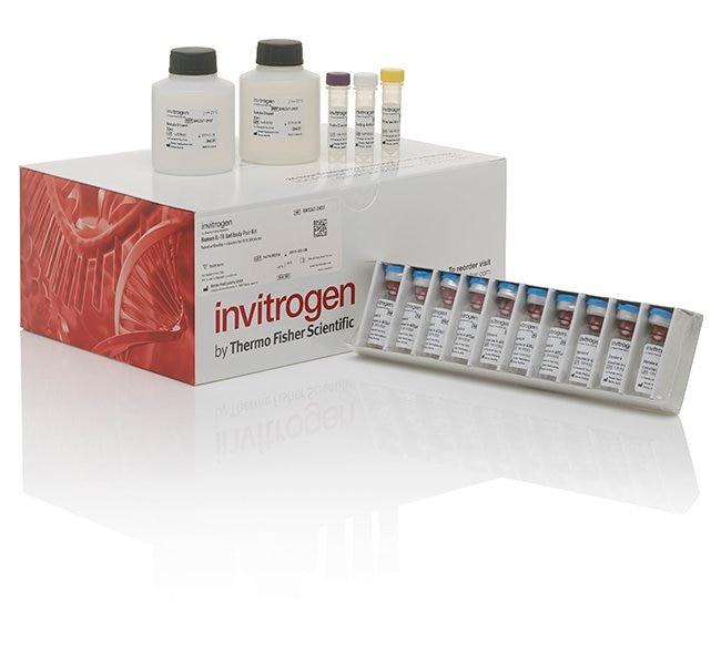 Mouse IP-10/CXCL10 Matched Antibody Pair (BMS6018MST)