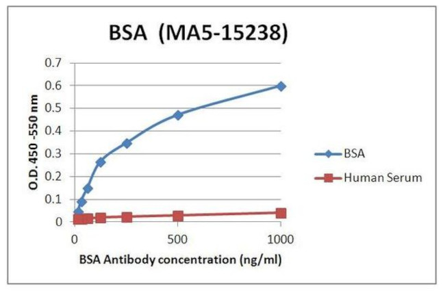 Bovine Serum Albumin Antibody in ELISA (ELISA)