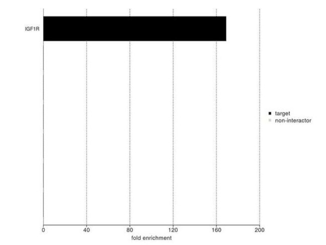 IGF1R alpha Antibody