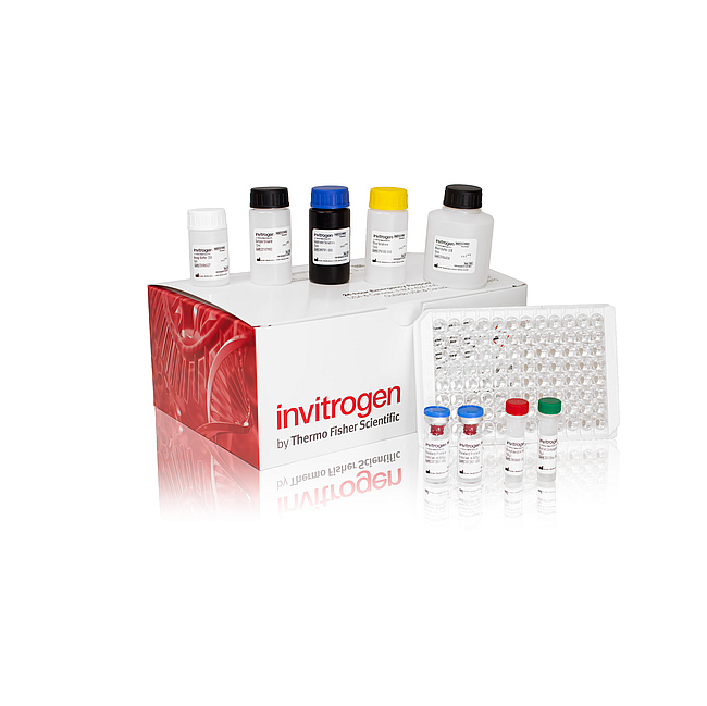 Mouse Basic IL-2 ELISA Kit (ECM006) - Invitrogen