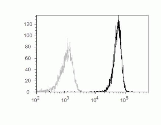 CD45 Antibody in Flow Cytometry (Flow)