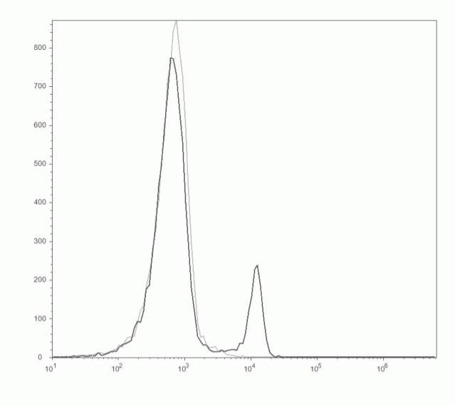 CD8 alpha Antibody in Flow Cytometry (Flow)