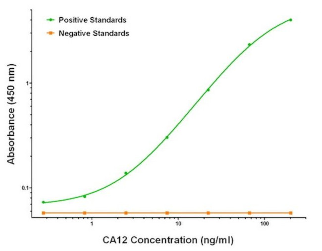 CA12 Antibody in ELISA (ELISA)