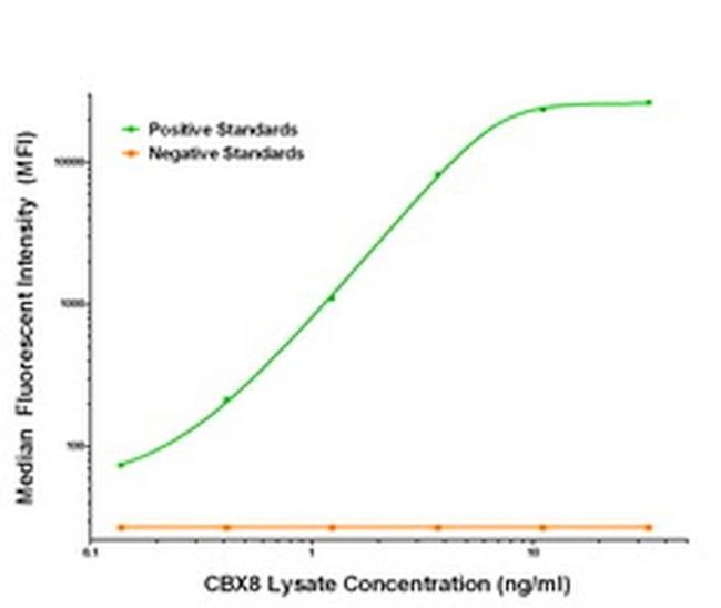 CBX8 Antibody in Luminex (Luminex)