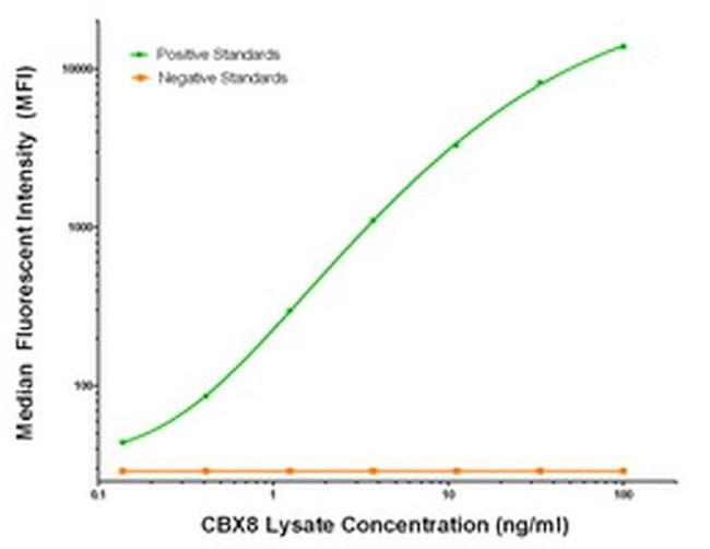 CBX8 Antibody in Luminex (Luminex)