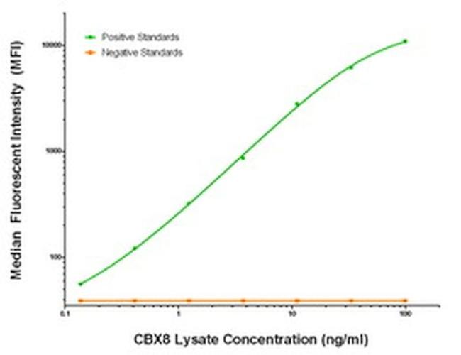 CBX8 Antibody in Luminex (Luminex)