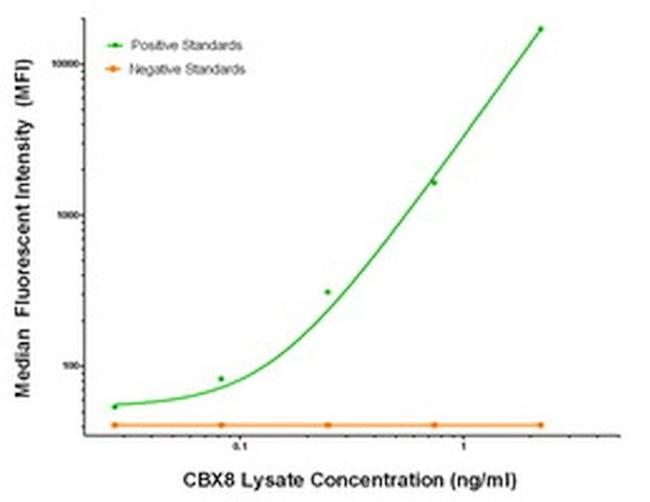 CBX8 Antibody in Luminex (Luminex)