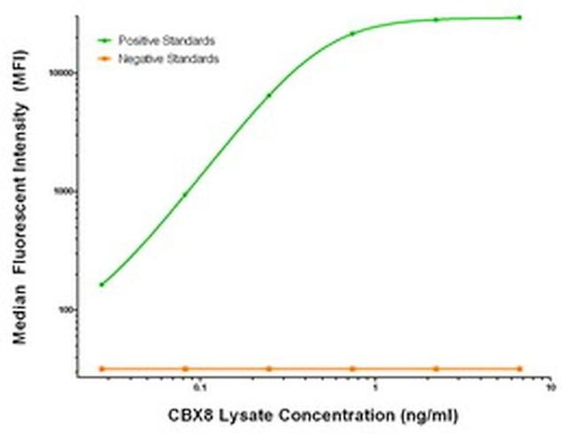 CBX8 Antibody in Luminex (Luminex)