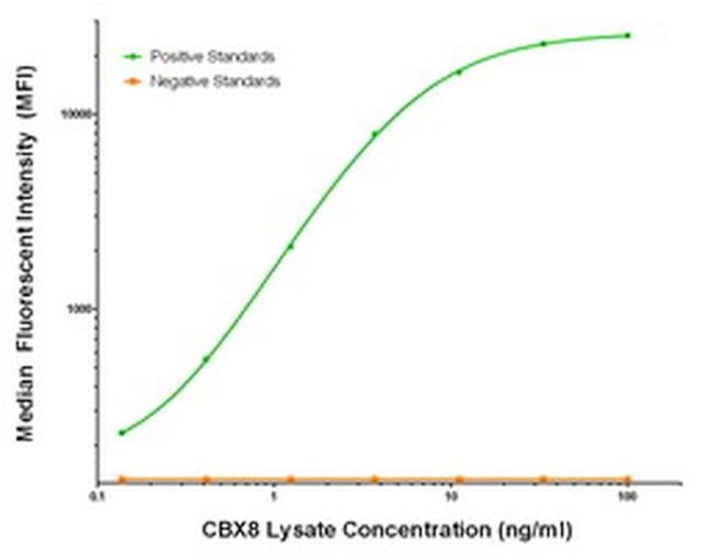 CBX8 Antibody in Luminex (Luminex)